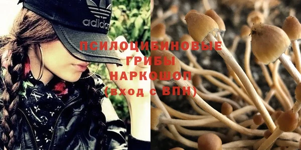 экстази Кулебаки