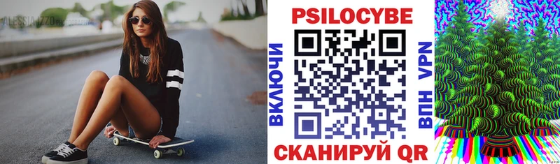 мега зеркало  Новоалександровск  Галлюциногенные грибы Cubensis  купить закладку 